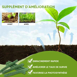 Bâtonnets Nutritionnels Organiques pour Plantes Universelles(18pcs)
